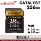 Exascend Catalyst UHS-II V60 電影級 記憶卡 256GB 讀280MB 寫180MB 防水 極耐用