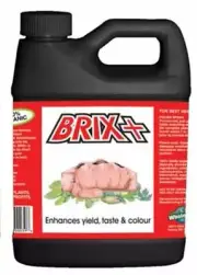 Brix +