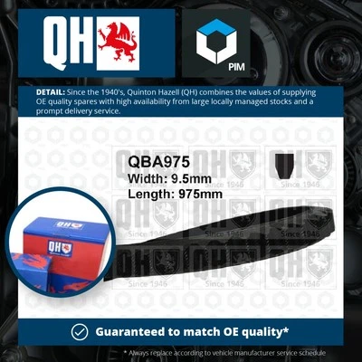 Drive Belt fits VAUXHALL CRESTA 2.7 64 to 72 V Belt QH 1340668 6376168 7511728