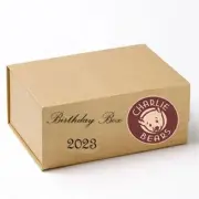 Birthday Box Bear 2023 By Charlie Bears