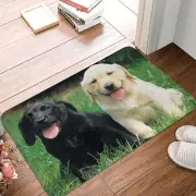 Cute Labrador Doormat Welcome Soft Bedroom Entrance Floor Mat Door Floor Rug Car