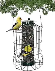 Backyard Essentials Caged Metal Bird Feeder Small Mesh Bird Feeder Holds 2.5 Cups of Sunflower Seeds for Birds