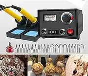 WeeHomy New Upgrade Wood Burning Kit, 30W Woodburner Tool Machine, Pyrography Set 20Pcs Pyrography Nibs Portable Pyrography Machine Wood Crafts Kit (Pointer Display-Dual Port)