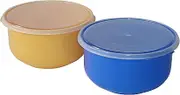 HomeLeisure Seal and Serve Salad Bowl