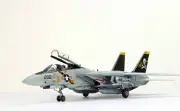 PreSale 1:48 ProBuilt Model USN F-14A Tomcat Jolly Roger