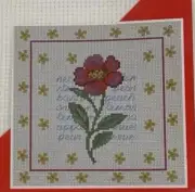DMC 14 count / in. 14X18 Needlework Fabric Aida White Needlepoint free Pattern