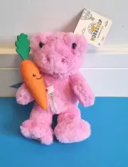 BUILD A BEAR SMALL PINK FROG BUDDIES MINI SMALL FRYS BNWT PLUSH CARROT WRISTIE