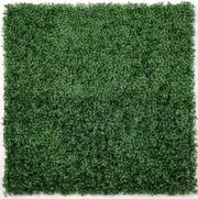 Boxwood Hedge Screen Green Wall Panel UV Resistant 100cm x 100cm