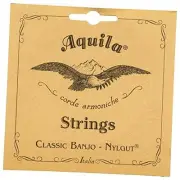 New Nylgut AQ-5B Banjo Strings – Medium Tension DBGDG-Set of 5