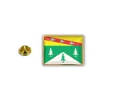 pins pin's flag national badge metal lapel hat button vest france vosges