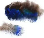 10pcs Natural Blue Peacock Neck Plumage Feathers DIY Craft Millinery Jewellery