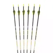 Spine 350 400 450 500 600 700 800 900 Carbon Arrow Points Pin Nock Vanes for Bow