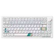 [Akko] MonsGeek M1 V5 VIA 1980s Keyboard Botany Switch