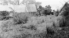 A mining camp: sleeping tent on left Creswick Victoria 1931 OLD PHOTO