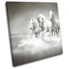 White Horses Herd Galloping Modern Animals SINGLE CANVAS WALL ART Picture Print
