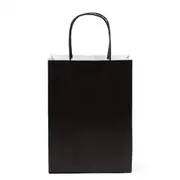 12 PK Paper Bag - Black Small