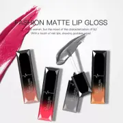 PUDAIER Makeup Waterproof Matte Velvet Liquid Lipstick Long Lasting Lip Gloss S