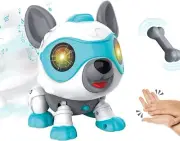 Robot Dog for Kids, DIY STEM Electronics Robotic Dog Toys with Bone Magnetic