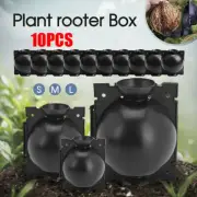 10Pcs Plant Rooting High Pressure Propagation Ball Root Grow Grafting Box AU