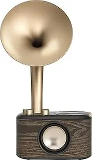 Sangean WR-45 FM Radio with Bluetooth, Gold/Wood