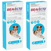 Bravecto SPOT-ON for Large Dogs 20-40kg - Blue (12 Months)