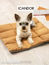 在飛比找松果購物優惠-韓國進口iCANDOR寵物靠墊狗狗貓咪外出背包內膽墊通用雙麪