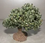 NEW Olive Tree for Santon Fouque 2 Cm