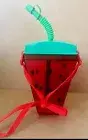 Watermelon Tumbler Water Bottle w/ Straps & Straw Portable Cup Travel Flask. New