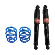 Rear Sport Low Gabriel Shocks + Lovells Springs for Ford Falcon BA BF XR6 Sedan
