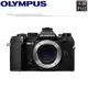 OLYMPUS OM-D E-M5 3 EM5 EM5III EM-5 Mark III 單機身 《平輸繁中》