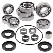 New ALL BALLS Rear Differential Bearing & Seal Kit For POLARIS 25-2092