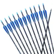 Archery Carbon Arrow 28inch/30Inch/31inch 7.6mm Shaft Removable Arrowhead