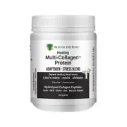 Best of the Bone Healing Multi-collagen Protein Powder Adaptogen-stress Blend (Organic Healing Mushrooms: Lion's Mane Reishi Shiitake)