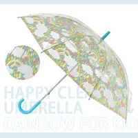 在飛比找PChome24h購物優惠-日本 HAPPY CLEAR UMBRELLA RAINBO