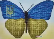 Ukrainian butterfly KitBeadEmbroidery DIY Beaded Needlepoint Stitching a5-d-478