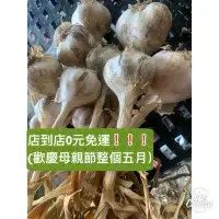 在飛比找蝦皮購物優惠-蒜頭 台灣蒜頭 當季嗆辣（全乾蒜大中小混一斤99