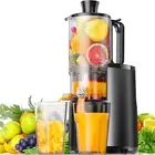 Cold Press Juicer, 5.5" Extra Large Feed Chute Slow Masticating Juicer, 250W Ju