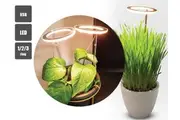 USB LED Plant Grow Light Full Spectrum Plant Light Indoor Plants Adjustable Plant Halo Growing Lamps Auto Timer