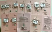 Pandora 20th Anniversary Charms February thru December 12 Charms