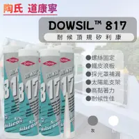 在飛比找蝦皮購物優惠-⚡在戶外跌倒⚡ 陶熙 道康寧 DOWSIL ™ 817 耐候