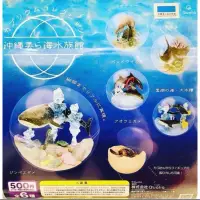 在飛比找蝦皮購物優惠-全新 現貨 日本 沖繩 美麗海 水族館 海洋生物 魟魚 扭蛋