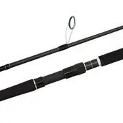 Shimano Anthem Spinning Rod