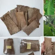50Pcs Dried Banana Leaves Homemade Fish Aquarium Betta Shrimp Clean Organic Leaf