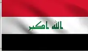 DMSE Iraq Iraqis pan-Arab الله أكبر Islam God is Great Flag 2X3 Ft Foot 100% Polyester 100D Flag UV Resistant (2'X3' Ft Foot)