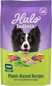 Halo Vegan Dry Dog Food, Garden of Vegan Recipe, 21-Pound Bag