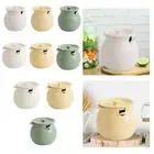 Kitchen Container with Lid Spoon Seasoning Pot Decorative Tea Spice Container