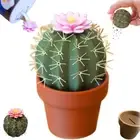 Mini Cute Cactus Seasoning Shaker Salt and Pepper Grinder Set Kitchen & Dining