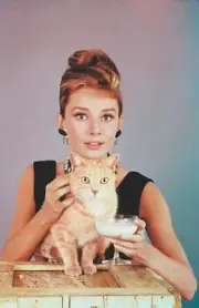 BEAUTIFUL AUDREY HEPBURN 8X10 PHOTO