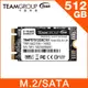 【福利品】TEAM十銓 MS30 M.2-2242 SATAIII 512GB 固態硬碟