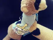 Ferret Harness - Blues Clues - S/M